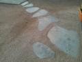thumb WP_001104.jpg